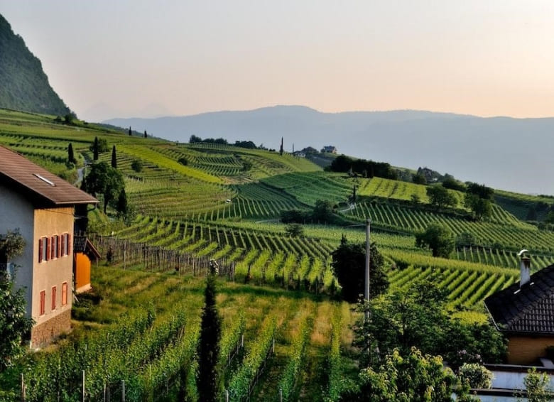 naramata wine tours